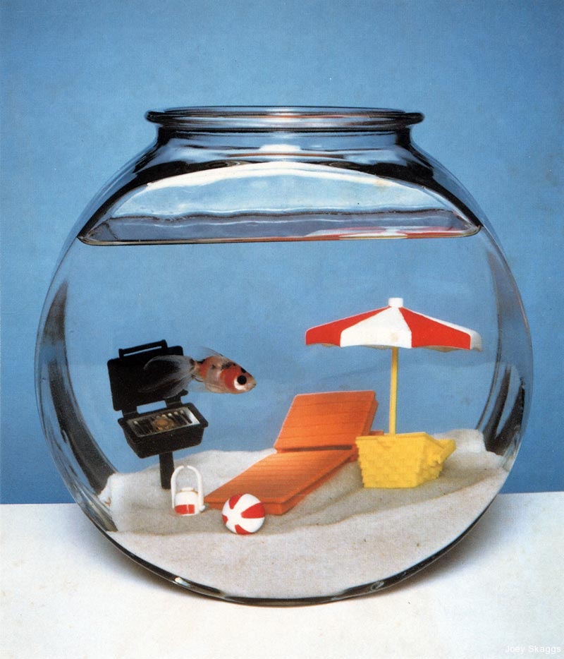 Joey Skaggs Fish Condos: Beach Barbeque Goldfish Bowl